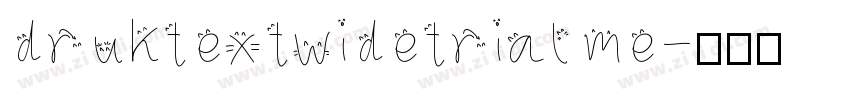 druktextwidetrial me字体转换